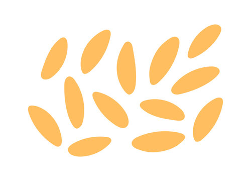 Italian pasta. Pasta risoni, orzo. Italian fast food icon. Hand drawn flat vector illustration isolated on white background