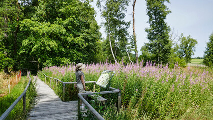 Wanderin vor einer Infotafel auf dem Schwellenweg durch das Schopflocher Torfmoos auf der schw&auml;bischen Alb