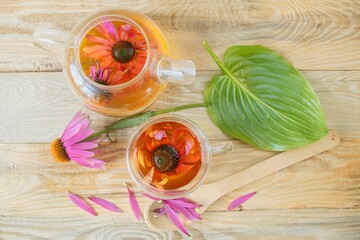 Medicinal herbal tea from echinacea flowers. Tea in a glass cup with fresh echinacea flowers on a wooden background.
