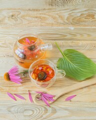 Medicinal herbal tea from echinacea flowers. Tea in a glass cup with fresh echinacea flowers on a wooden background.