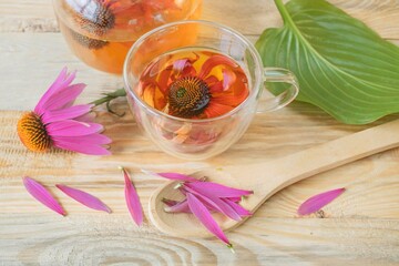 Medicinal herbal tea from echinacea flowers. Tea in a glass cup with fresh echinacea flowers on a wooden background.