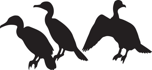  Cormorants in Silence in silhouette full white baackground.