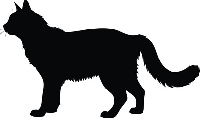 Obraz premium black and white dog