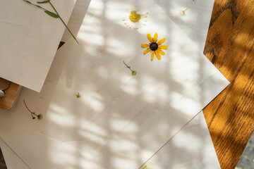 Open flower press with various dried flowers on blotting paper.