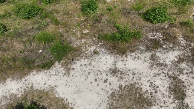 Luftbildaufnahme der Sophienhoehe bei Stetternich, Juelich und angrenzendem Braunkohletagebau im Rheinischen Revier, Kontrast zwischen Natur und Industrie