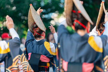 阿波踊り