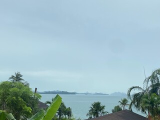 tropical landscape with palm trees