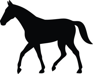 silhouette of a horse