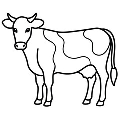 black and white cow