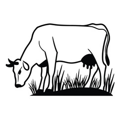 cow in the grass