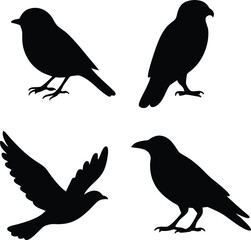 Obraz premium Collection of Four Bird Silhouettes: Sparrow, Hawk, Dove, and Crow; Black and White Vector Graphics; Minimalist Style