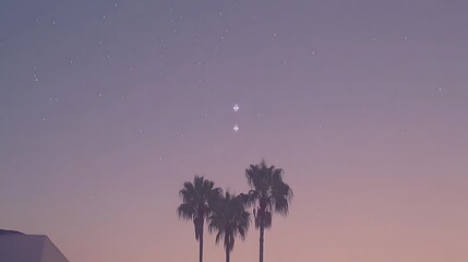 Palm trees silhouetted beneath the twilight sky and stars above