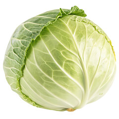 Fototapeta premium Cabbage, one isolated cabbage, light falling on it from an angle making it more visible and attractive, close-up, transparent background