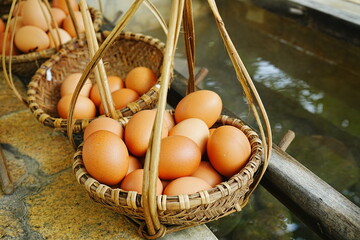 Boiled or Steamed Egg by Hot Spring Steam, Onsen Tamago - 日本料理 温泉卵
