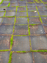 Detail of the floor of a children's playground in a public park with moss growing between the padded tiles.