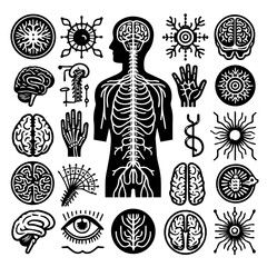 Illustration of human anatomy with brain, nervous system, hand, and eye in black and white style art