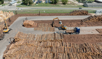 Wood sawmill, machinery for processing wood. Processing plant. A worker operating loader, modern wood processing factory, load freshly cut logs onto the production line for processing, manufacturing.