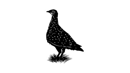 Burchell's Sandgrouse bird, black isolated silhouette