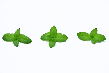fresh green mint leaves group of objects isolated on white background
