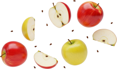 Whole and sliced red and yellow apples with seeds arranged in a circle isolated with