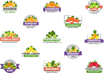 Set of citrus fruit logos - minimal flat vector illustrations on white background