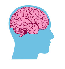 Human brain inside the head, isolated illustration. Illustration on thinking, psyche, medicine, neuroscience and cognitive abilities. Painted pink brain inside a blue head