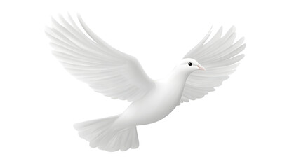 Majestic Free Flying White Dove on White Background for Peaceful Concepts