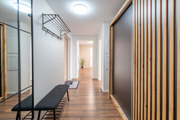 Home Entrance Hall. Interior. Wooden White Door, Brown Flooring and White Wardrobe. 