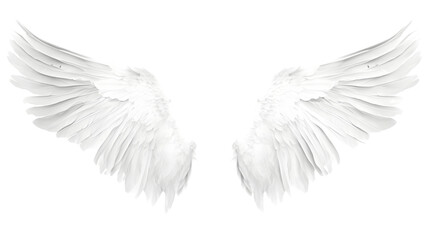 Fototapeta premium Beautiful Angel Wings Isolated on White Background with Transparency
