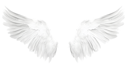Beautiful Angel Wings Isolated on White Background with Transparency