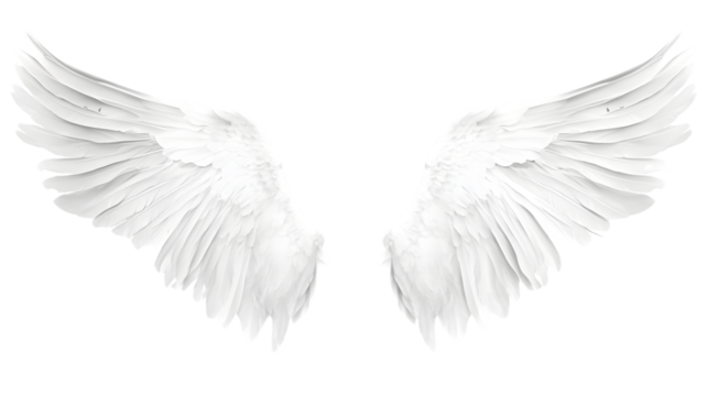 Beautiful Angel Wings Isolated on White Background with Transparency
