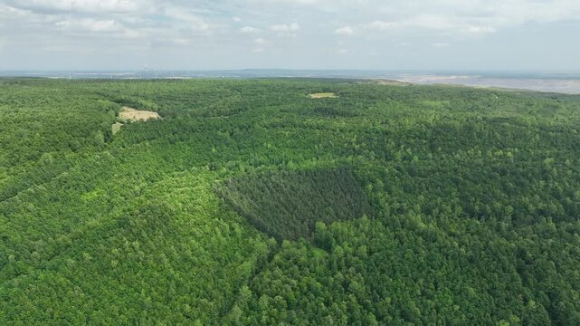 Luftbildaufnahme der Sophienhoehe bei Stetternich, Juelich und angrenzendem Braunkohletagebau im Rheinischen Revier, Kontrast zwischen Natur und Industrie