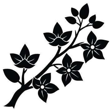 A Jarul Tree Branch in Bloom Represented by Clean Lines