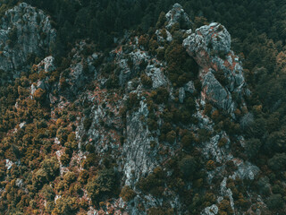 Autumn Mountain Landscape