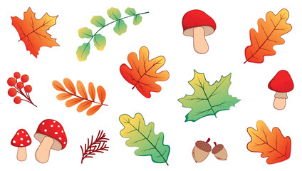 Bright and colorful vector set of autumn elements on a white background. It includes a variety of leaves, branches with berries, mushrooms, a fir branch and acorns. It is ideal for creating autumn des