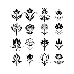 Collection of 16 Elegant Black and White Flower Illustrations