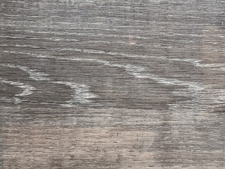 Texture of old wood background from nature