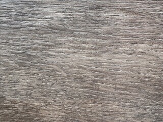 Texture of old wood background from nature