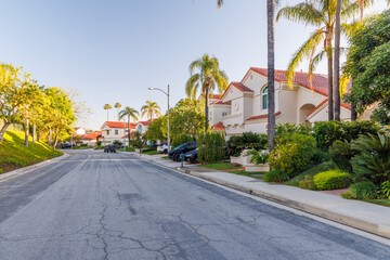 Suburban street with houses in the Los Angeles area © evgeeenius