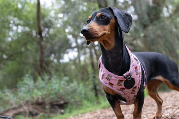 What is happening over there