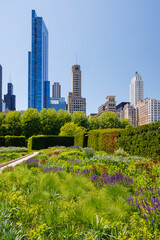 Fototapeta premium Sunny view of downtown Chicago with iconic skyscrapers rising above a lush green park