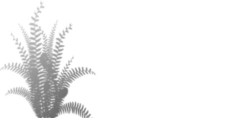 Stylized silver plant silhouette against a black background.  Ideal for design, décor, or print projects.