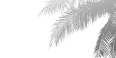 Dynamic silver ink splatter on black background.  Perfect for design projects needing a modern, artistic feel.