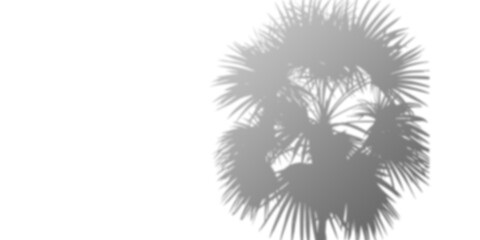 Elegant grayscale plant silhouette, perfect for backgrounds, overlays, or design elements. Versatile for various creative projects.