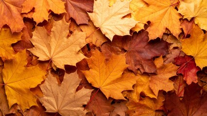 Fototapeta premium たくさんの紅葉のイメージ 背景素材 16:9サイズ AI生成素材