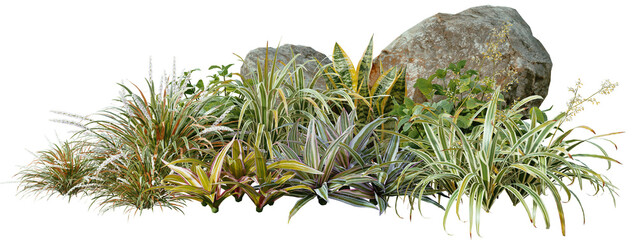 3D render of a garden decorated with stones and tropical plants on a transparent background.
