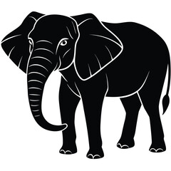 Obraz premium Majestic Black Line Art Elephant Vector