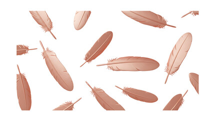 floating feathers, rose gold aesthetic, soft texture background, feather