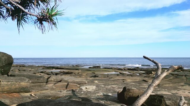 Through the Pandanus tree and looking over the rocks to the ocean.