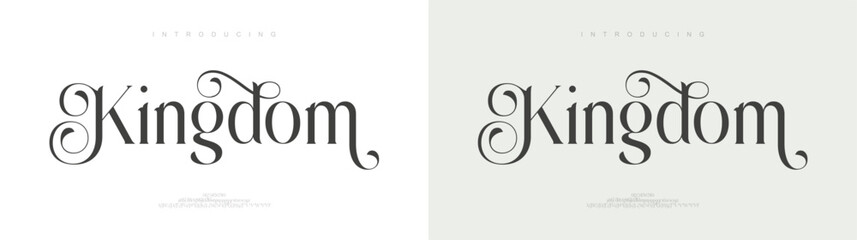 Kingdom Stylish Minimalist Serif Font. Elegant Modern Lettering for Fashion, Branding, Editorial & Romantic Logo Design. Vector Illustration.

